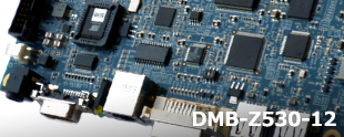 DMB-Z530-12